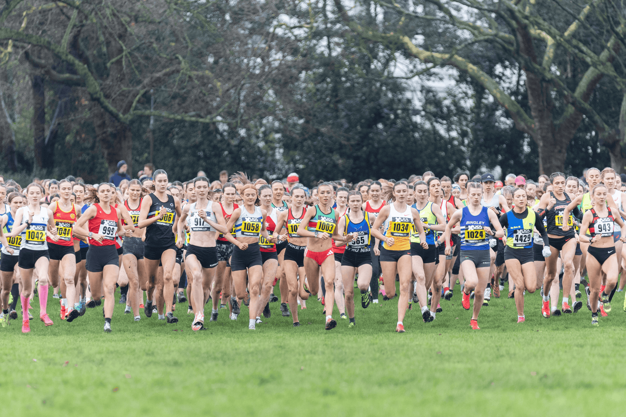 Liverpool Cross Challenge